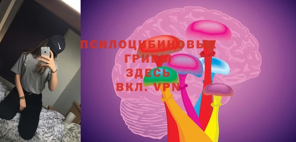 винт Лиски