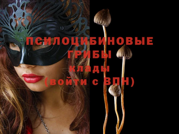 ешки Липки
