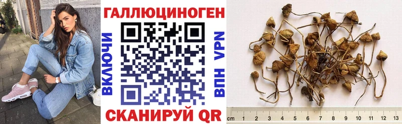 Галлюциногенные грибы мицелий  Брянск 
