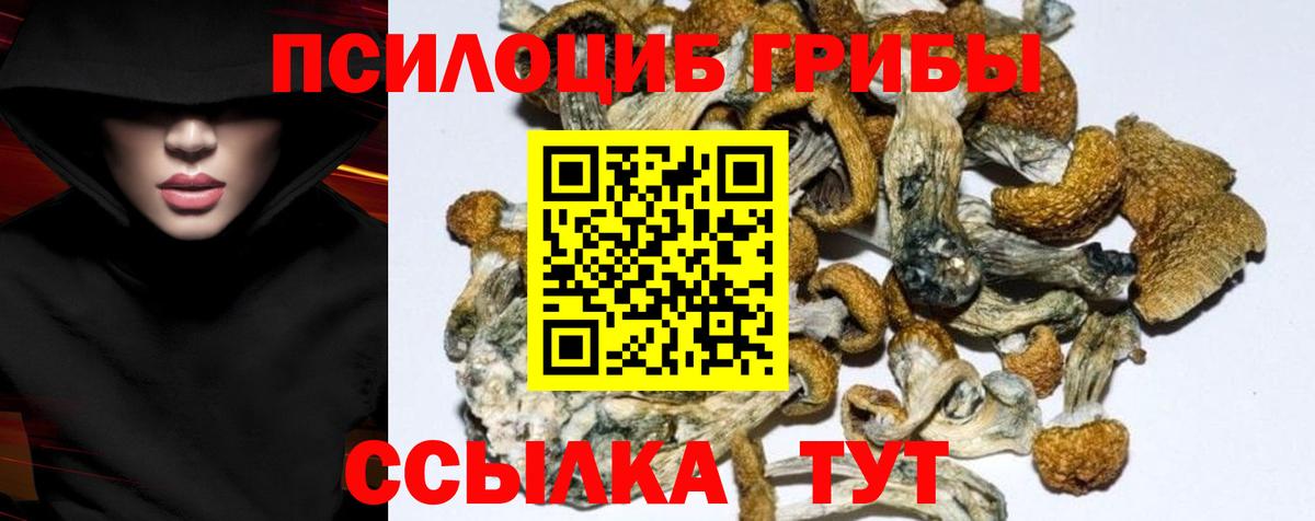 Псилоцибиновые грибы MAGIC MUSHROOMS Брянск